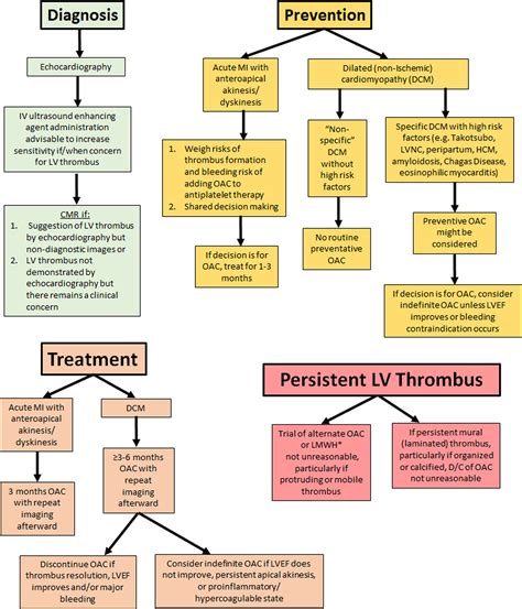 anticoagulation for left ventricular thrombus.